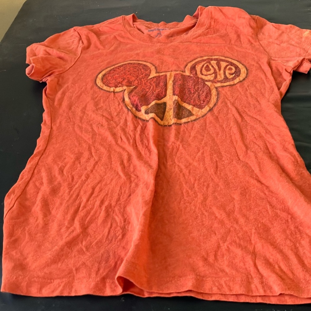 FINAL MARKDOWN Disneyland tee small